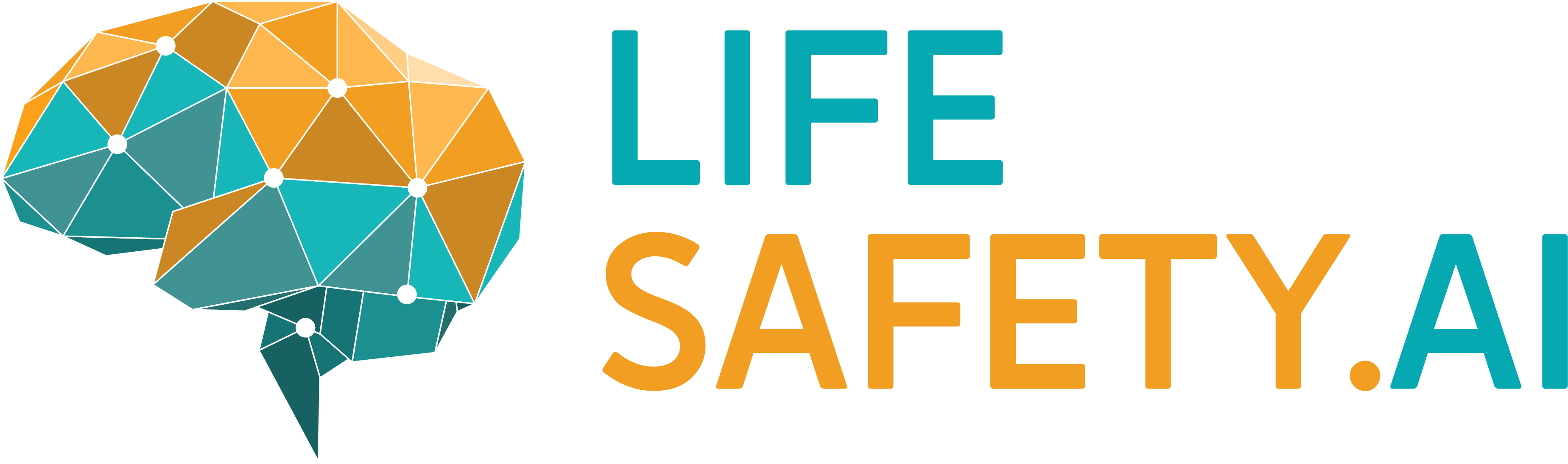 LifeSafety